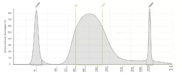 Expressplex 2 Fragment Profile