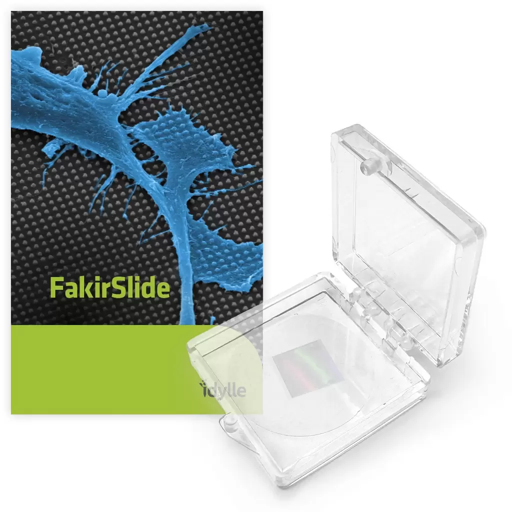 Fakirslide Highlight Pic