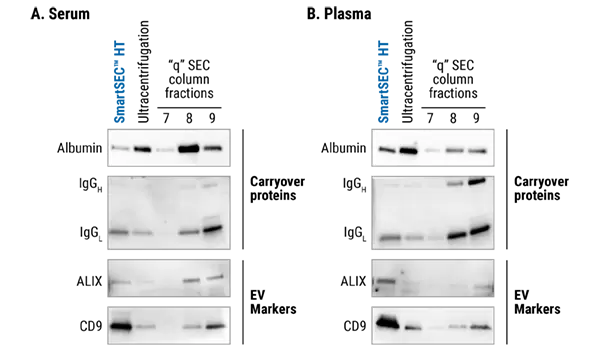 Fig 1 Smartsec Ht Isolates Evs From Serum Plasma 01