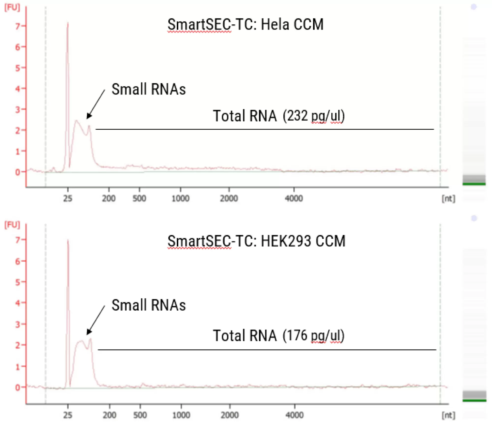 Fig6 Small Rna From Hela And Hek293 