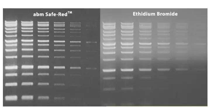 G180 R Safe Red Vs Ethbr