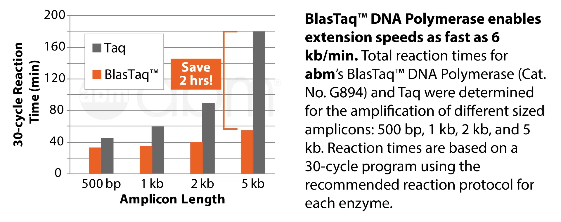 G894 Blastaq Dna Polymerase Data1 1 1