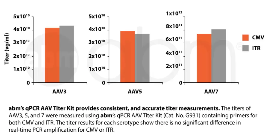 G931 Qpcr Aav Titer Kit