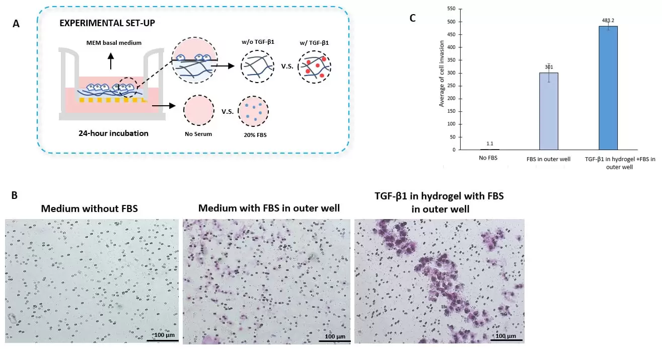 Ia R2u Chemotaxis Figure V2