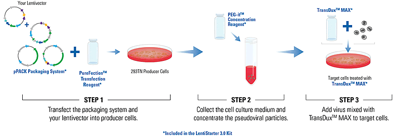 Lentistarter 3.0 Kit Illustration 800