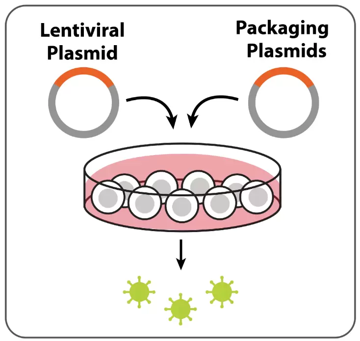 Lv053 Schematic 1
