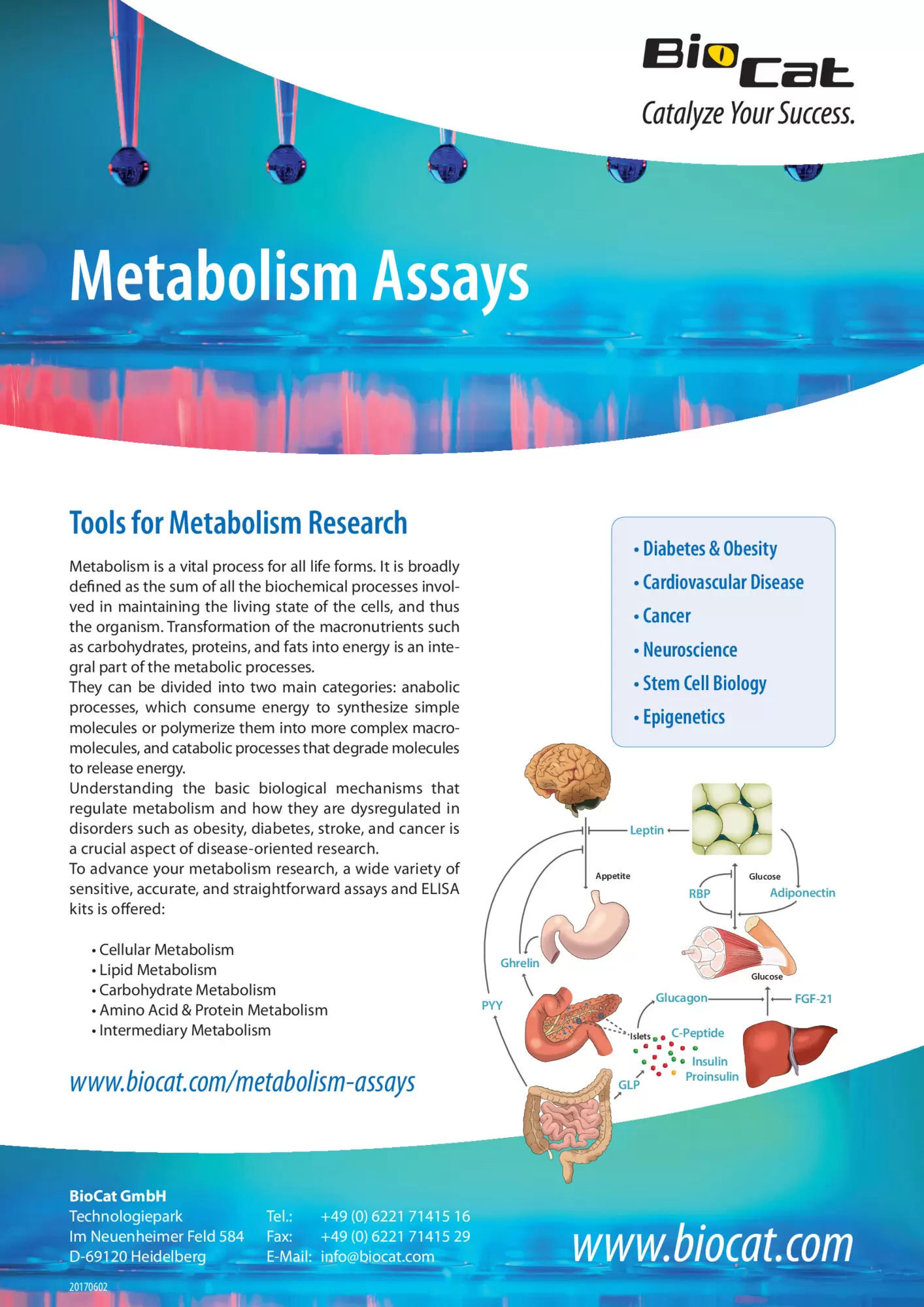 Metabolism_Assays_170602.pdf Preview