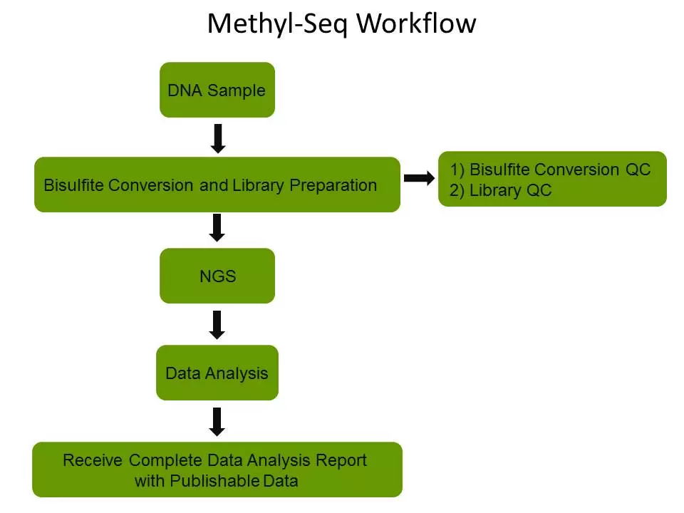 Methyl Seq Workflow