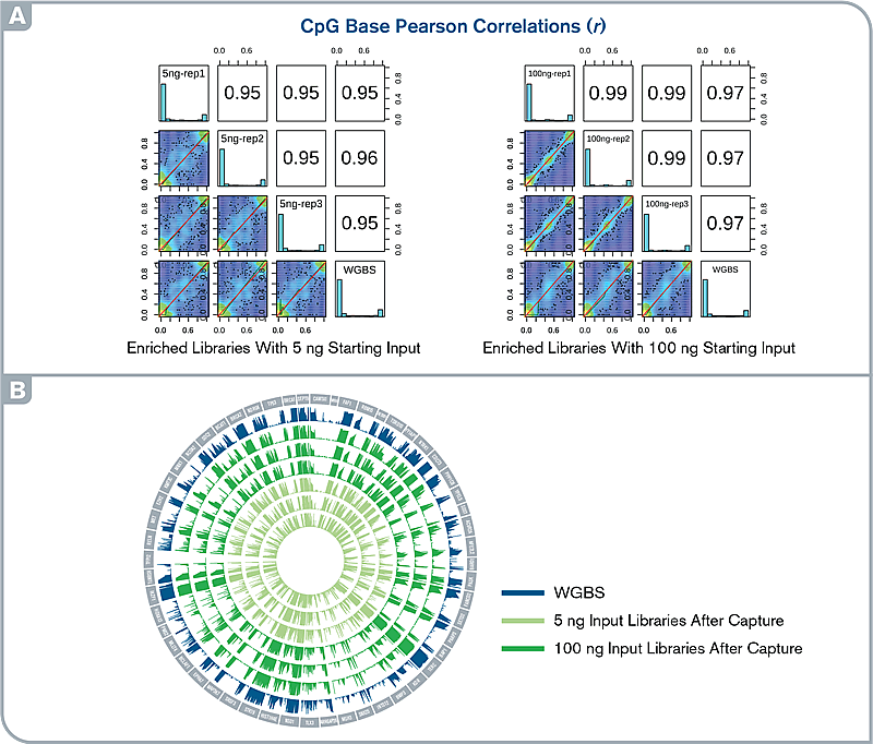 Methylseq Performance Fig4 800