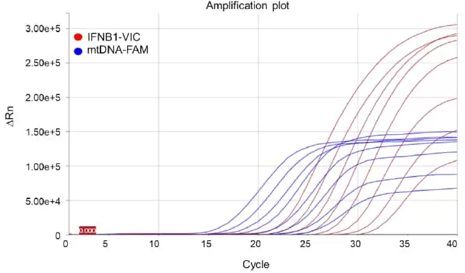 Mth Cnq Amplification