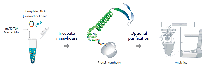 Mytxtl Workflow