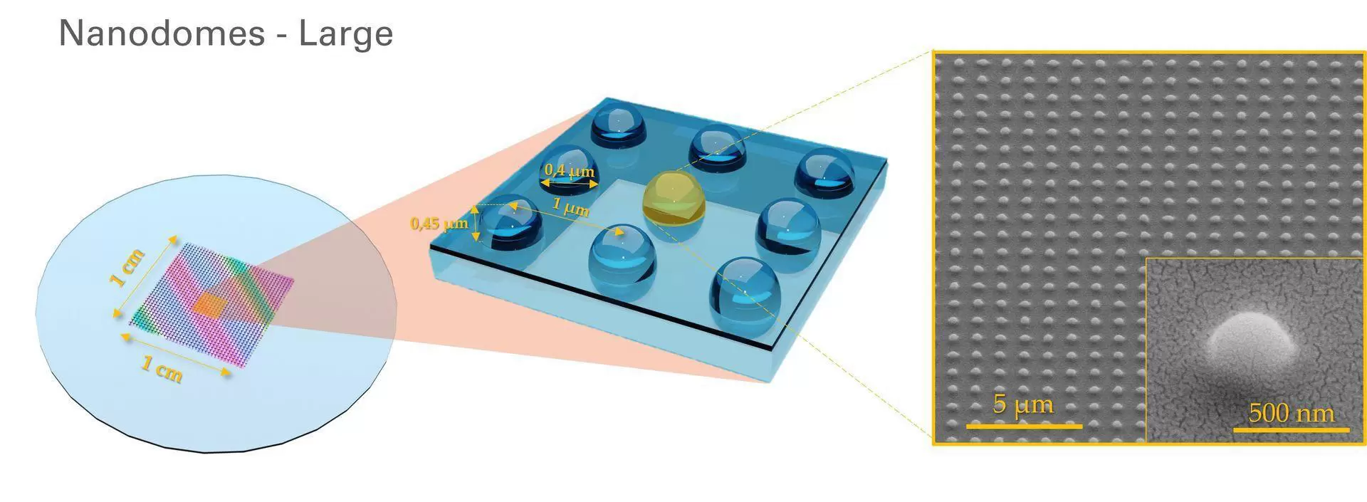Nanodomes Large