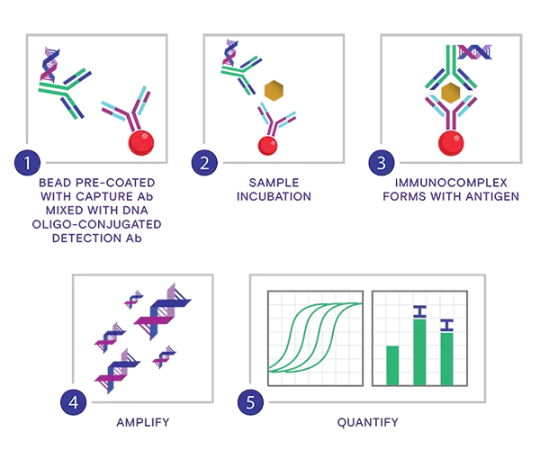 Nexatag Qipcr Principle Stacked