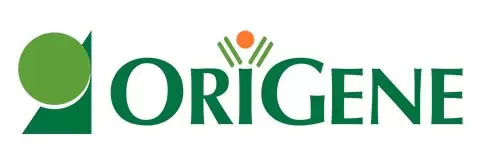 Origene2021