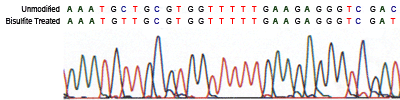 P1026sequence