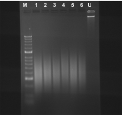 P2023data1