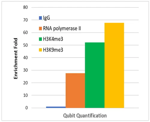 P2033data1
