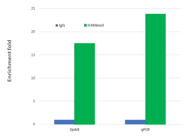 P2035data1