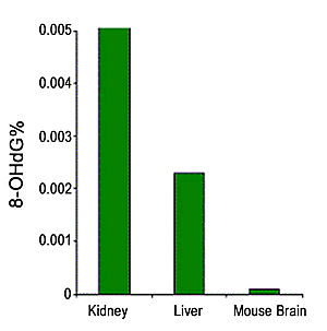 P6003data3
