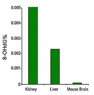 P6004data2