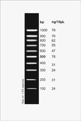 Pcr Sizer 100 Bp Dna Ladder 11400 Figure1