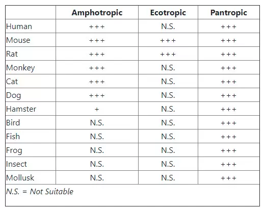 Platinum Retroviral Expression Sytems