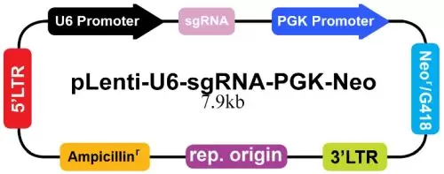 Plenti U6 Sgrna Pgk Neo