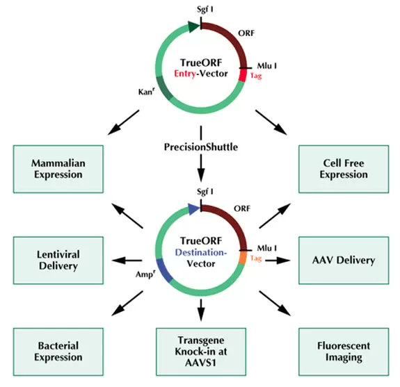 Precisionshuttle Applications