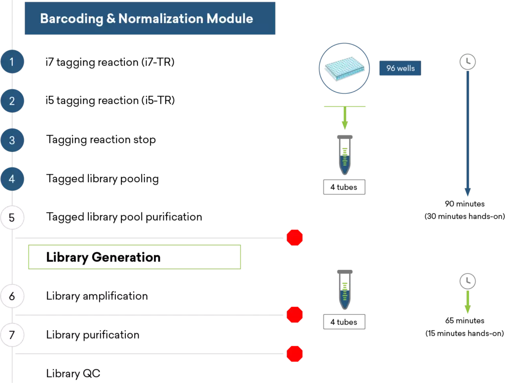 Pureplex Workflow Diagram 1200x1000 1 1024x776