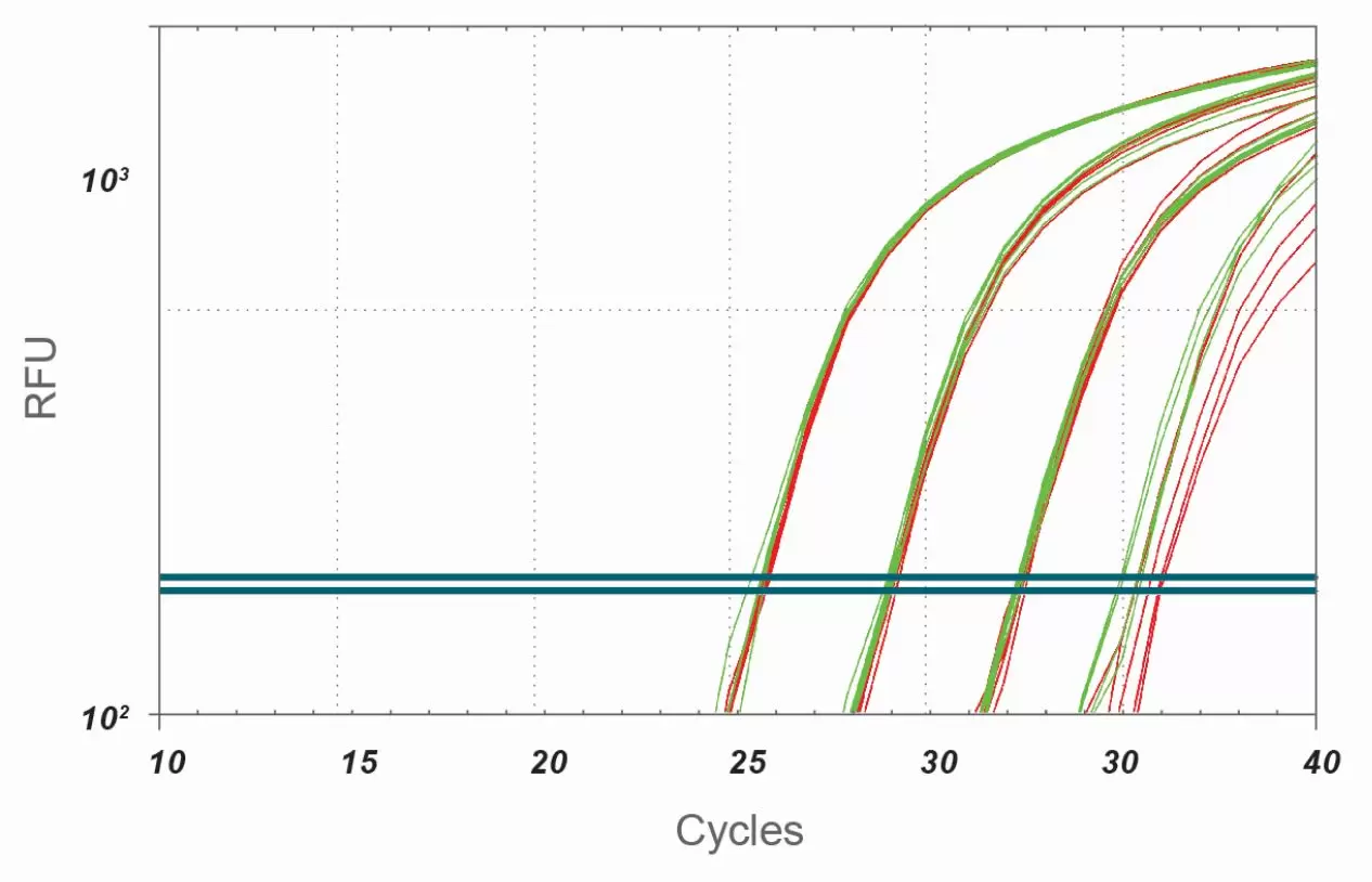 Rapidxfire Taq Polymerase Activation Time