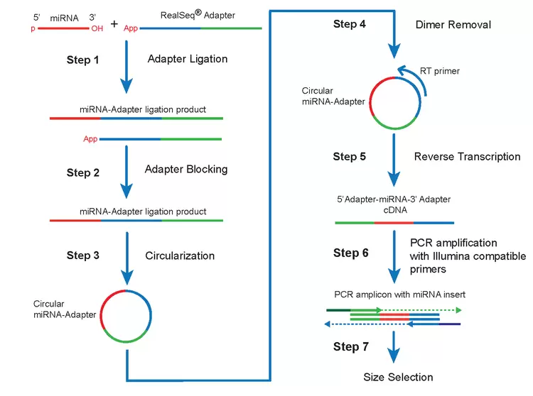 Realseq Ac Scheme