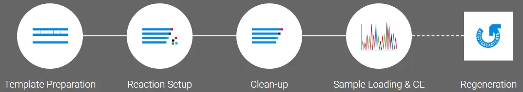 Sanger Sequencing Workflow