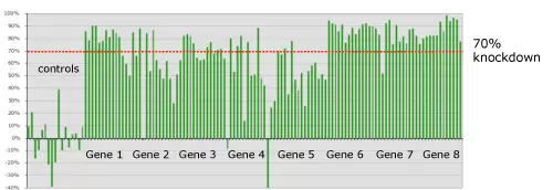 Shrna Knockdown Percentage Graph Wo Head