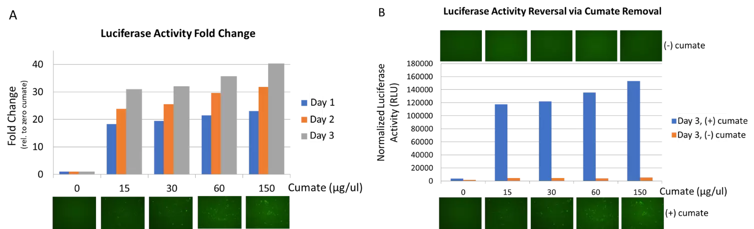 Sparq2 Supporting Data 3