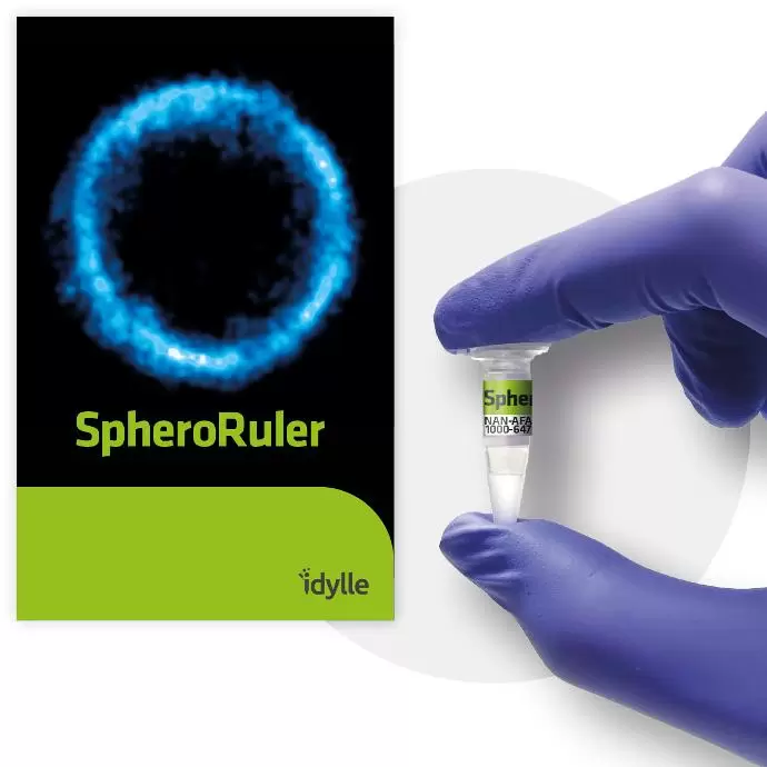 Spheroruler Web Pks5