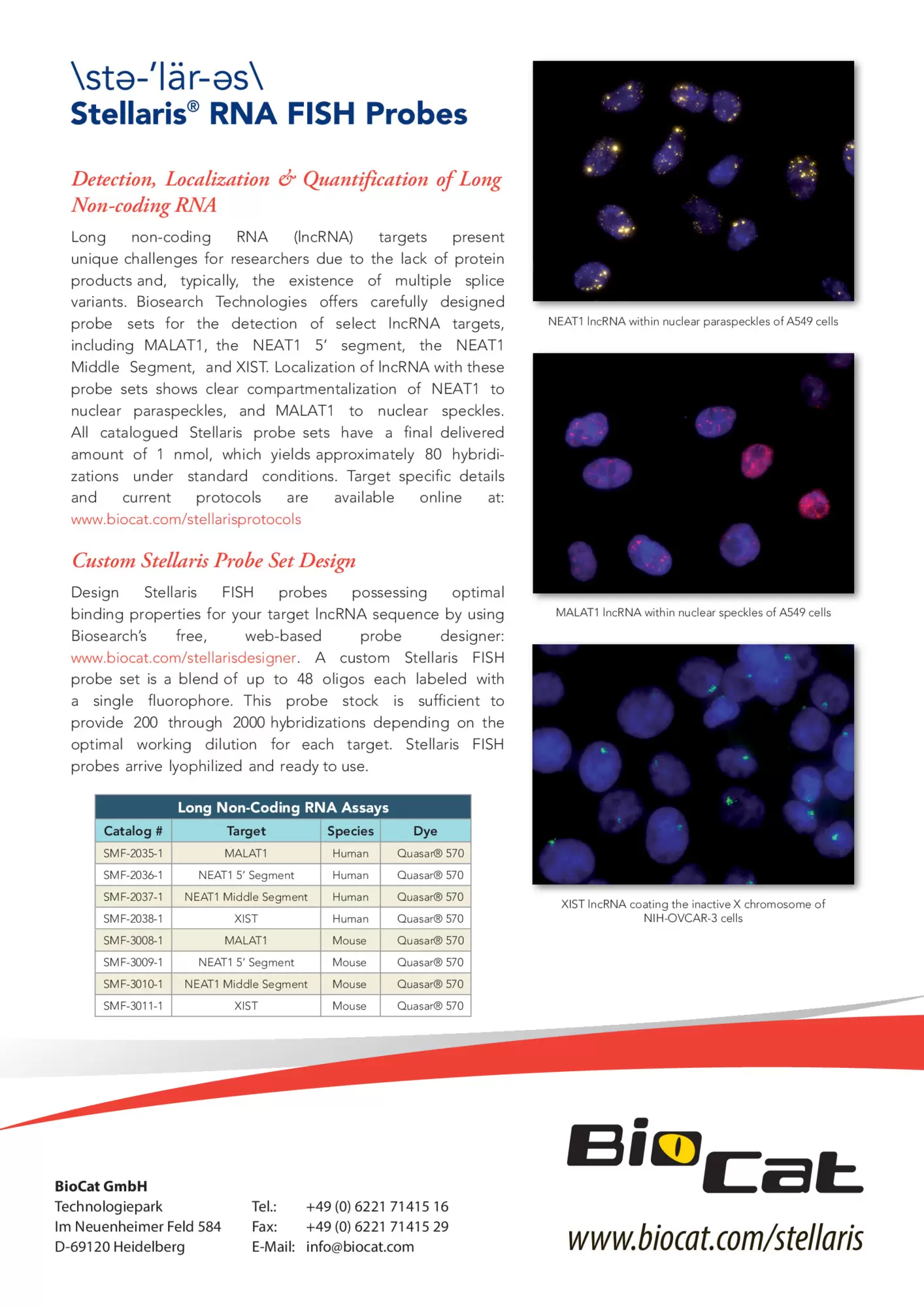 Stellaris_lncRNA_170328.pdf Preview