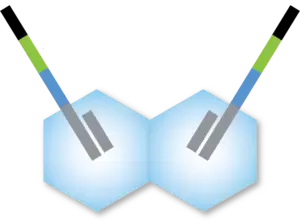 Tagify Custom Loaded Transposase
