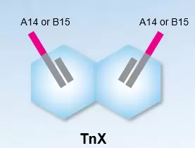 Tagify Custom Tnx A14 B15