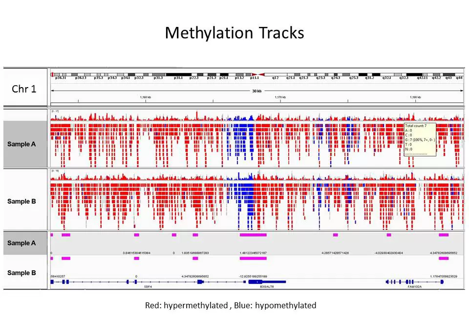 Targeted Methylation Tracks2 V2ps
