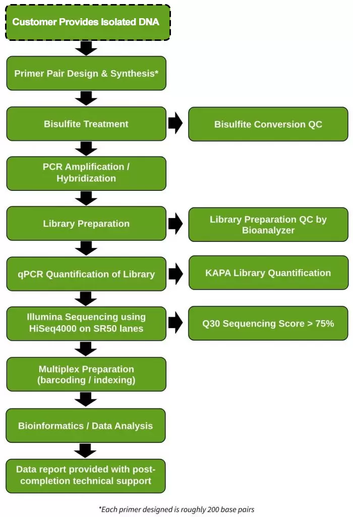 Tbs Service Workflow
