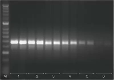 Tetroreverse2 550 C2