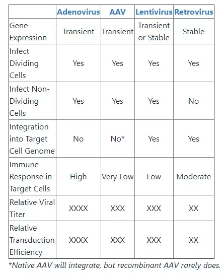 Viral Gene Expression