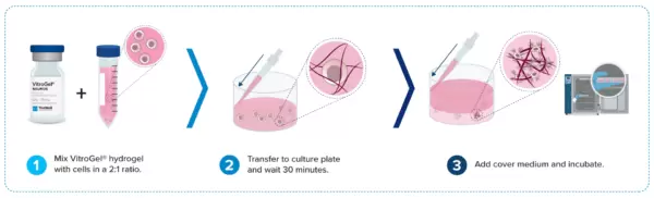 Vitrogel Neuron Workflow 3d Cell Culture 600x182