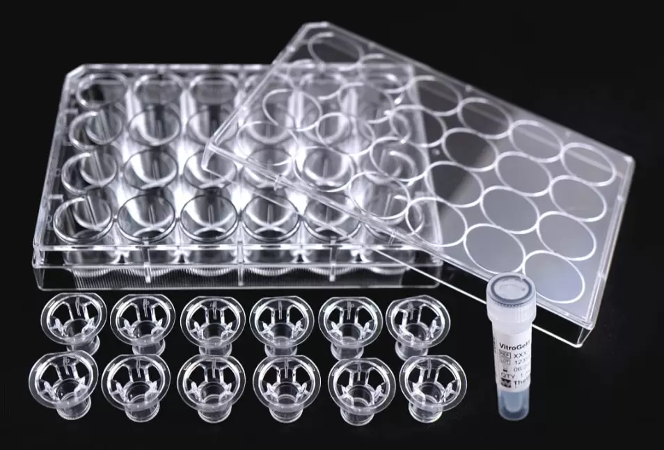 Vitrogel R T U Cell Invasion Assay Pic Content