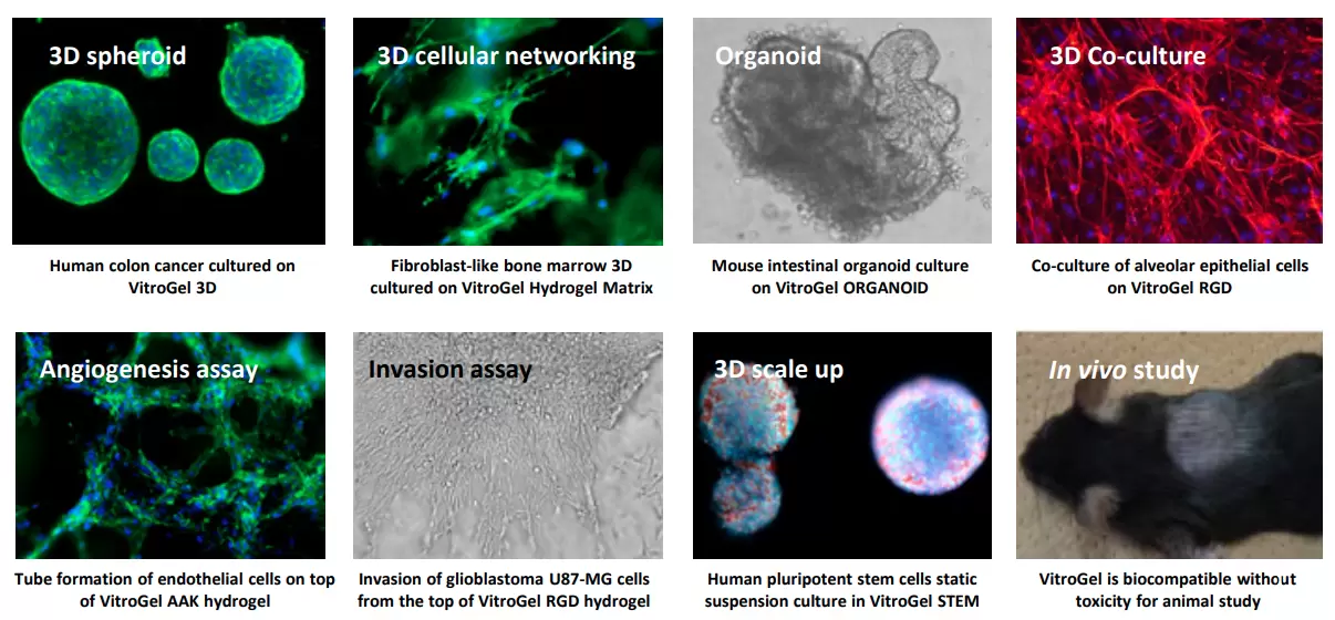 Vitrogel Applications