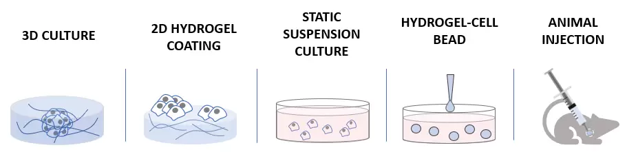 Vitrogel Cell Culture Methods