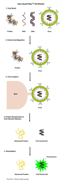 Vpk 106 Fig 1