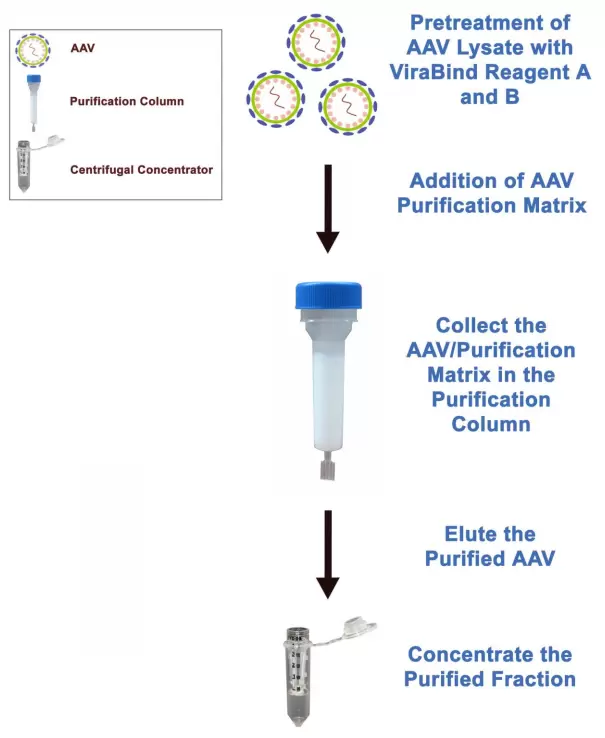Vpk 141 Assay Principle