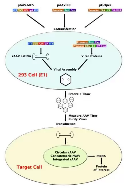 Vpk 4xx Aav Helper Free System