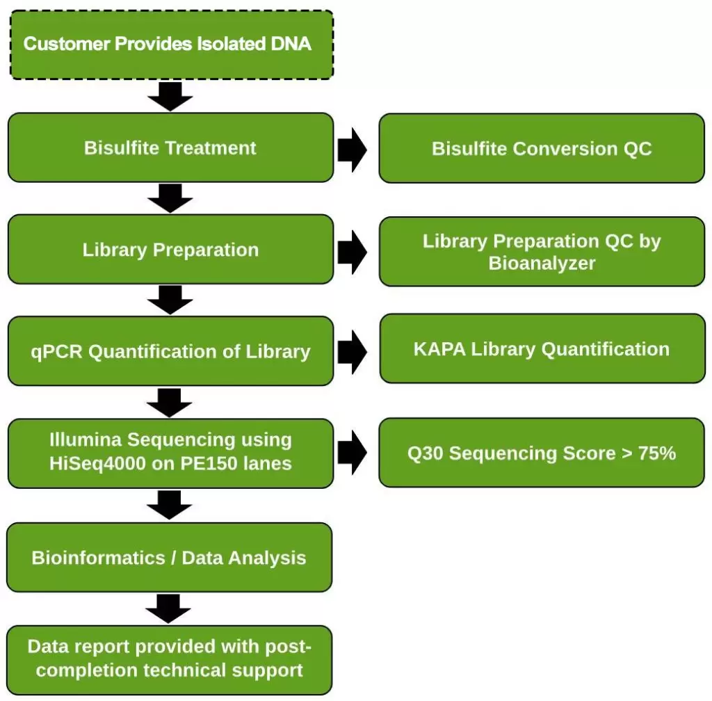 Wgbs Service Workflow